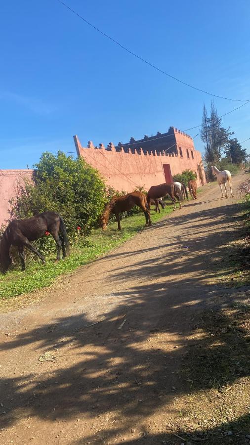 Gite Touristique Yassmine Madagh Εξωτερικό φωτογραφία